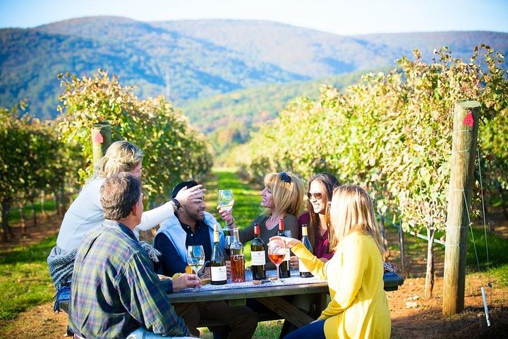 Maipo Wine Tour
